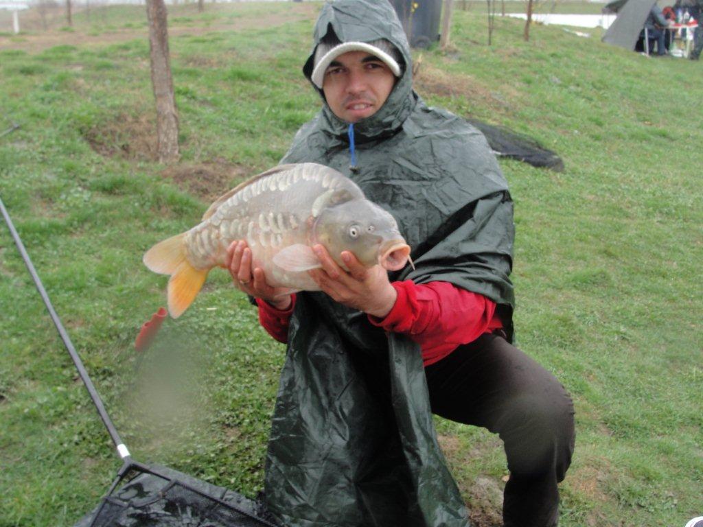 Floarea Popestiului 01.04.2012 - picture-127.jpg